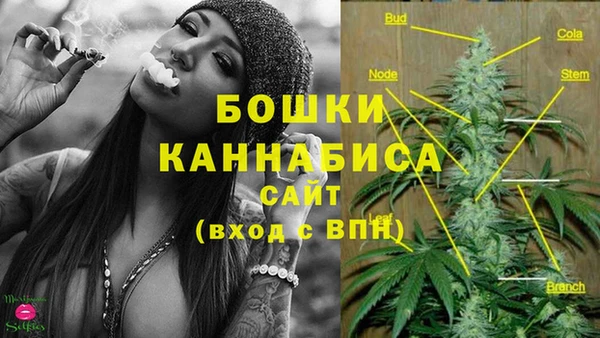 дмт Сатка