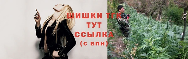 сатива Абаза