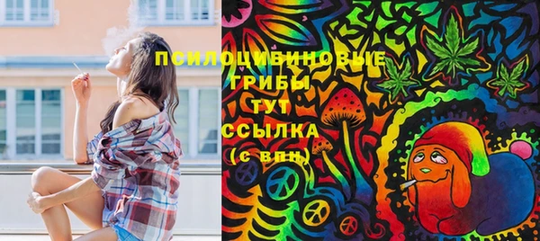 сатива Абинск