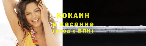 сатива Абинск