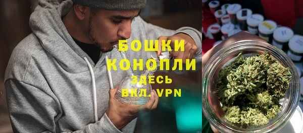 дмт Сатка