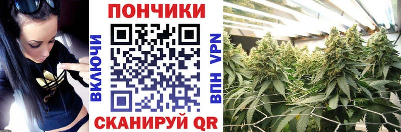 Конопля планчик Электроугли